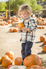 Image showing Little Boy Holding His Pumpkin at a Pumpkin Patch
