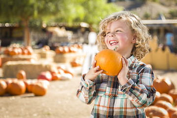 Image showing Little Boy Holding His Pumpkin at a Pumpkin Patch
