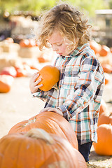 Image showing Little Boy Holding His Pumpkin at a Pumpkin Patch
