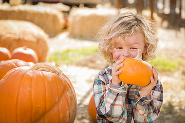 Image showing Little Boy Sitting and Holding His Pumpkin at Pumpkin Patch
