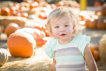 Image showing Adorable Baby Girl Having Fun at the Pumpkin Patch
