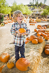 Image showing Little Boy Holding His Pumpkin at a Pumpkin Patch
