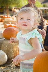 Image showing Adorable Baby Girl Having Fun at the Pumpkin Patch
