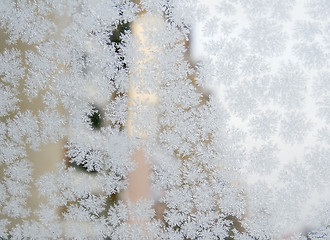 Image showing Frozen snowflakes