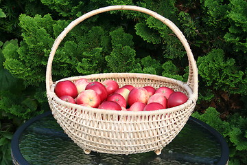 Image showing James Grieve apples