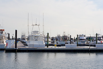 Image showing Marina