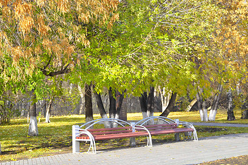 Image showing Benches in autumn park.