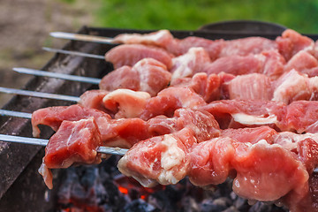 Image showing Shish Kebab In Process Of Cooking On Open Fire Outdoors