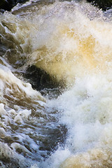 Image showing River Waves