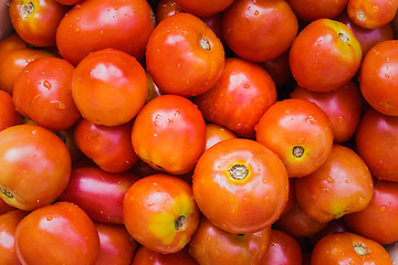 Image showing Red Tomatoes Background 