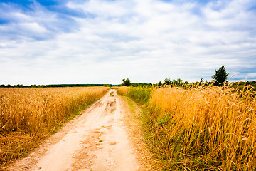 Image showing Rural Countryside Road Through Fields With Wheat