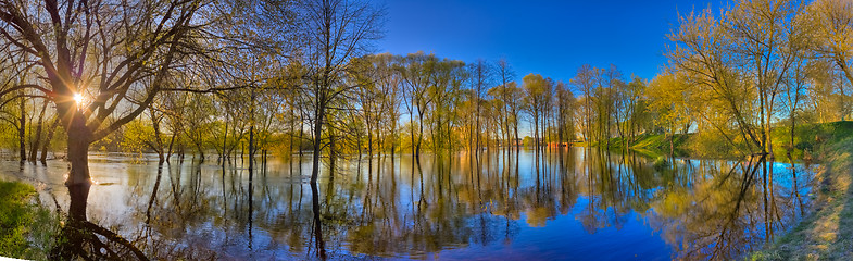 Image showing Reflection Of Trees In The River At Dawn