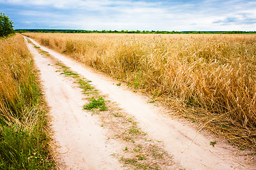 Image showing Rural Countryside Road Through Fields With Wheat