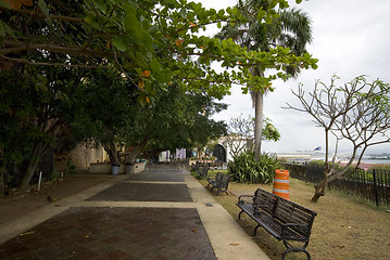 Image showing parque de las palomas dove park