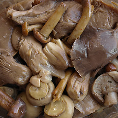 Image showing Mushrooms picture