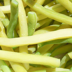 Image showing Common bean