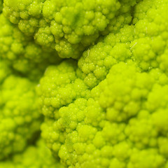 Image showing Cauliflower