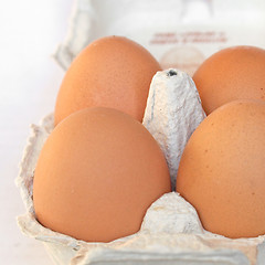 Image showing Eggs picture