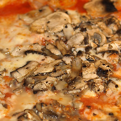 Image showing Mushroom Pizza