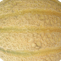 Image showing Melon picture