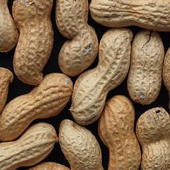 Image showing Peanut picture