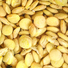 Image showing Beans salad