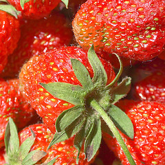 Image showing Strawberries