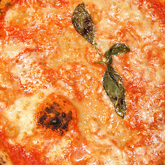 Image showing Mushroom Pizza