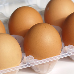 Image showing Eggs picture