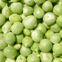 Image showing Peas picture