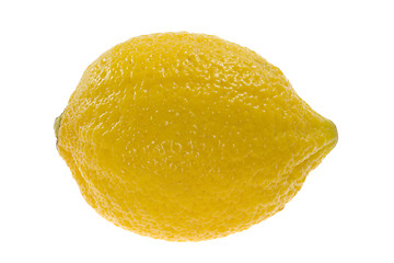 Image showing Single whole lemon

