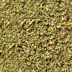 Image showing Oregano