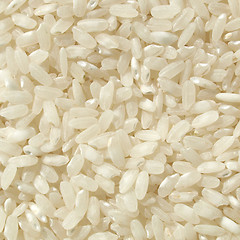 Image showing Rice picture