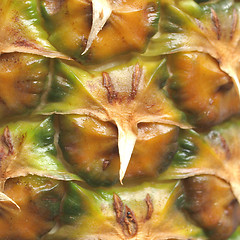 Image showing Pineapple picture