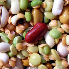 Image showing Beans salad