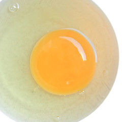 Image showing Egg picture