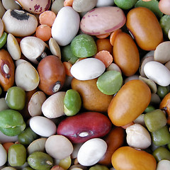 Image showing Beans salad