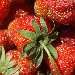 Image showing Strawberries