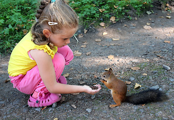 Image showing little girl feeding squirrel with nuts