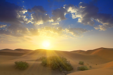 Image showing sunrise in desert