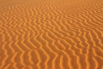 Image showing sand in desert ripple background