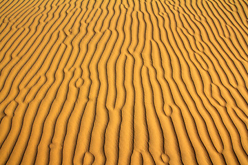 Image showing sand in desert background