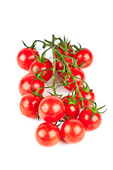 Image showing fresh organic cherry tomatoes 