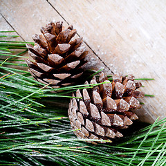 Image showing christmas fir tree with pinecones