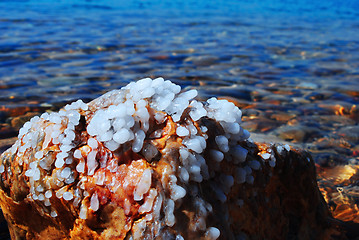 Image showing Dead Sea salt crystals