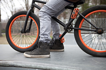 Image showing BMX Bike Rider