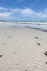 Image showing Siesta Key Beach Sarasota Florida