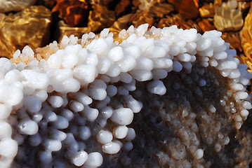 Image showing Dead Sea salt crystals