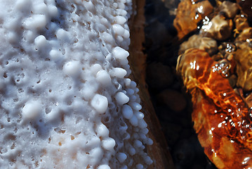 Image showing Dead Sea salt crystals