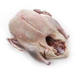 Image showing Raw Whole Duck